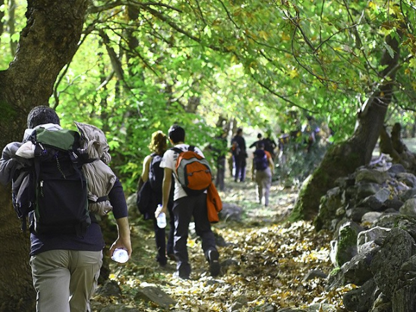 为什么深圳中小型企业都喜欢搞旅游团建年会呢？